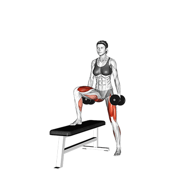 Dumbbell Lateral Step Up