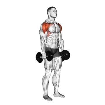 Dumbbell Lateral to Front Raise - Exclusive get you ultimate Strength for Deltoids from X health blend   Animated Exercise  Library