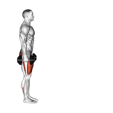 Dumbbell Lunge