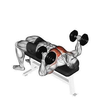 Dumbbell Lying Hammer Press