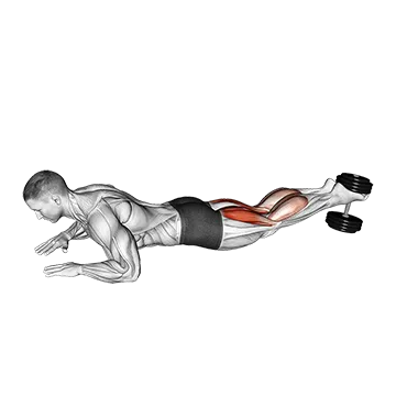 Dumbbell Lying Hamstring Curl - Exclusive get you ultimate Strength for Hamstrings from X health blend   Animated Exercise  Library