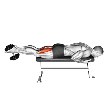 Dumbbell Lying Leg Curl