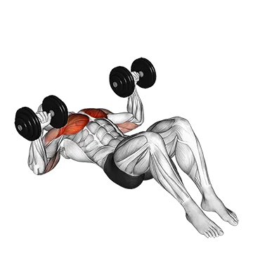 Dumbbell Lying on Floor Chest Press