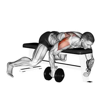 Dumbbell Lying One Arm Rear Lateral Raise - Exclusive get you ultimate Strength for Rear Deltoids from X health blend   Animated Exercise  Library