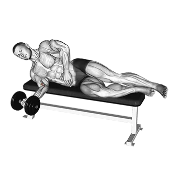 Dumbbell Lying Pronation - Exclusive get you ultimate Strength for Forearms from X health blend   Animated Exercise  Library