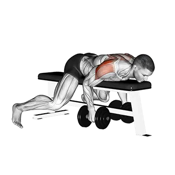 Dumbbell Lying Rear Lateral Raise - Exclusive get you ultimate Strength for Posterior Deltoids from X health blend   Animated Exercise  Library