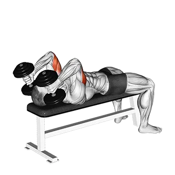 Dumbbell Lying Triceps Extension - Exclusive get you ultimate Strength for Triceps Brachii from X health blend   Animated Exercise  Library