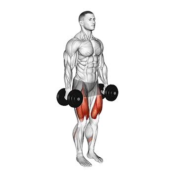 Dumbbell Narrow Stance Squat