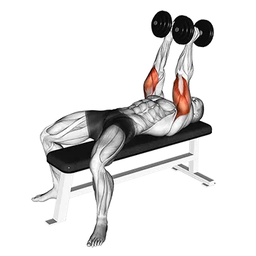 Dumbbell Neutral Grip Bench Press