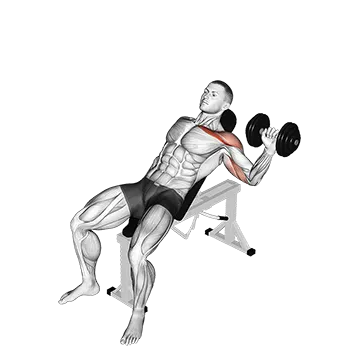 Dumbbell One Arm Incline Chest Press - Exclusive get you ultimate Strength for Pectoralis from X health blend   Animated Exercise  Library