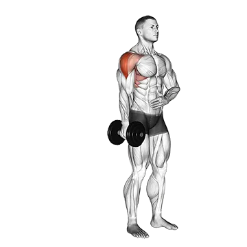 Dumbbell One Arm Lateral Raise