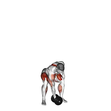 Dumbbell One Arm Snatch - Exclusive get you ultimate Strength for Deltoids