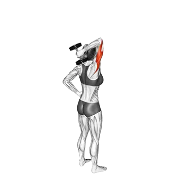 Dumbbell One Arm Triceps Extension