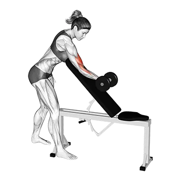 Dumbbell One Arm Zottman Preacher Curl - Exclusive get you ultimate Strength for Biceps