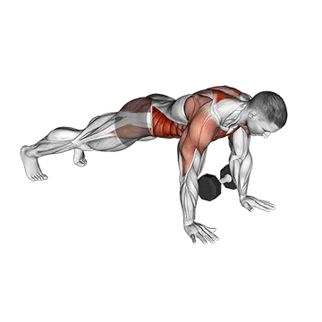 Dumbbell Plank Pass Through