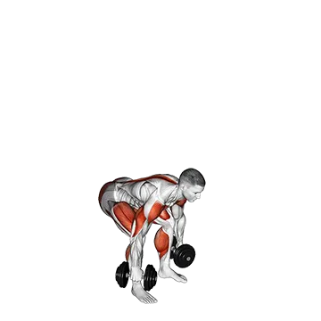Dumbbell Power Clean and Jerk - Exclusive get you ultimate Strength for Deltoids