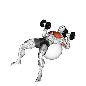 Dumbbell Press on Exercise Ball - Exclusive get you ultimate Strength for Deltoids