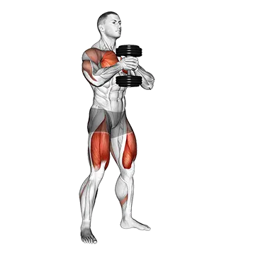Dumbbell Press Squat