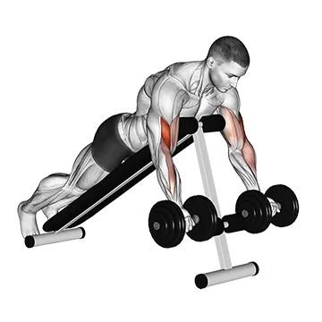 Dumbbell Prone Incline Curl - Exclusive get you ultimate Strength for Biceps from X health blend   Animated Exercise  Library