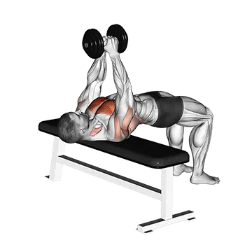 Dumbbell Pullover - Exclusive get you ultimate Strength for Latissimus Dorsi from X health blend   Animated Exercise  Library