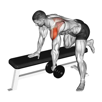 Dumbbell Rear Delt Row - Exclusive get you ultimate Strength for Latissimus Dorsi from X health blend   Animated Exercise  Library