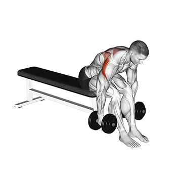 Dumbbell Rear Fly - Exclusive get you ultimate Strength for Deltoids from X health blend   Animated Exercise  Library