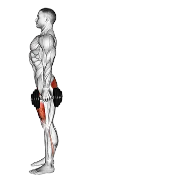 Dumbbell Rear Lunge - Exclusive get you ultimate Strength for Quadriceps