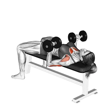 Dumbbell Reverse Bench Press