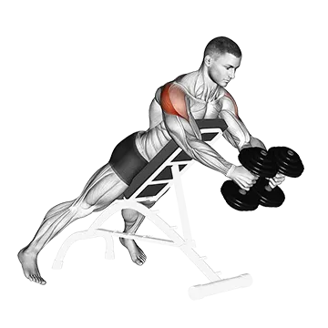 Dumbbell Reverse Fly