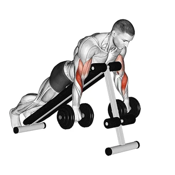 Dumbbell Reverse Spider Curl - Exclusive get you ultimate Strength for Biceps from X health blend   Animated Exercise  Library