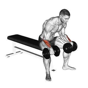 Dumbbell Reverse Wrist Curl