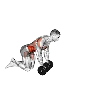 Dumbbell Rollout - Exclusive get you ultimate Strength for Rectus Abdominis from X health blend   Animated Exercise  Library
