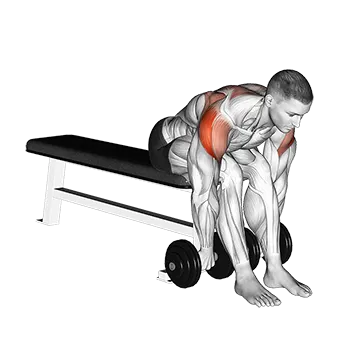 Dumbbell Seated Bent Over Rear Delt Row - Exclusive get you ultimate Strength for Deltoids