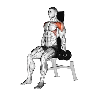 Dumbbell Seated Front Raise - Exclusive get you ultimate Strength for Anterior Deltoids from X health blend   Animated Exercise  Library