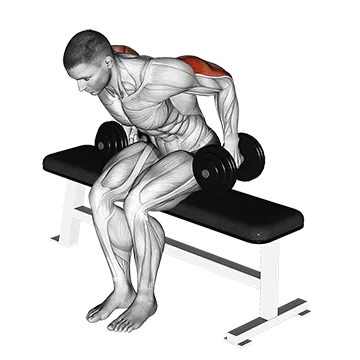 Dumbbell Seated Kickback