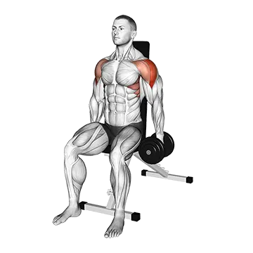 Dumbbell Seated Lateral Raise - Exclusive get you ultimate Strength for Lateral Deltoid from X health blend   Animated Exercise  Library