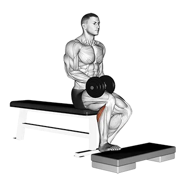 Dumbbell Seated One Leg Calf Raise - Exclusive get you ultimate Strength for Calves from X health blend   Animated Exercise  Library