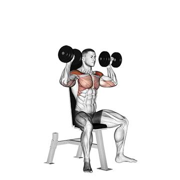 Dumbbell Seated Shoulder Press