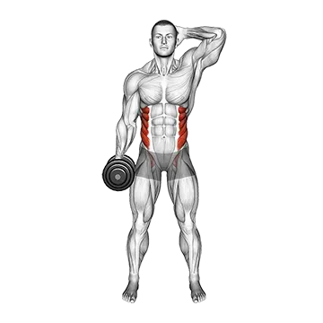 Dumbbell Side Bend - Exclusive get you ultimate Strength for Obliques from X health blend   Animated Exercise  Library