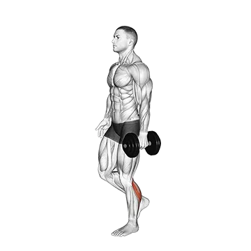 Dumbbell Single Leg Calf Raise - Exclusive get you ultimate Strength for Calves from X health blend   Animated Exercise  Library