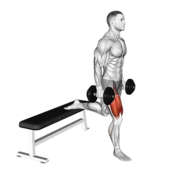 Dumbbell Single Leg Split Squat - Exclusive get you ultimate Strength for Quadriceps