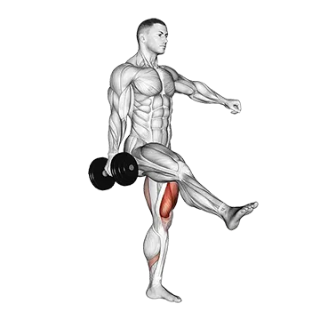 Dumbbell Single Leg Squat