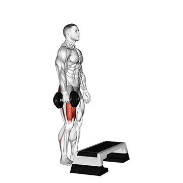 Dumbbell Single Leg Step Up