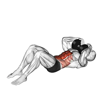 Dumbbell Sit Up