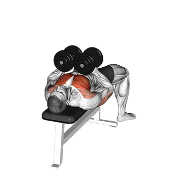 Dumbbell Squeeze Bench Press - Exclusive get you ultimate Strength for Pectoralis from X health blend   Animated Exercise  Library