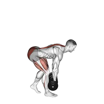 Dumbbell Staggered Stance Romanian Deadlift - Exclusive get you ultimate Strength for Hamstrings