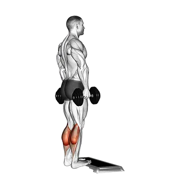 Dumbbell Standing Calf Raise - Exclusive get you ultimate Strength for Calves from X health blend   Animated Exercise  Library