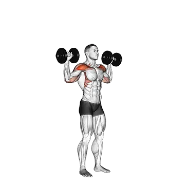 Dumbbell Standing Overhead Press