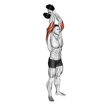 Dumbbell Standing Triceps Extension - Exclusive get you ultimate Strength for Triceps from X health blend   Animated Exercise  Library