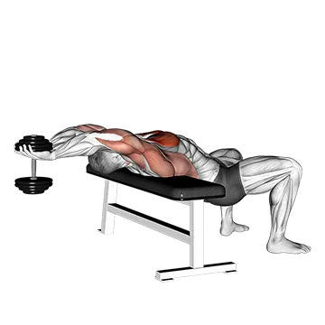 Dumbbell Straight Arm Pullover - Exclusive get you ultimate Strength for Pectoralis